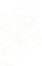 1b8b9c54 desi banner obj01.png